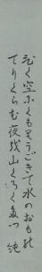  / Tanzaku