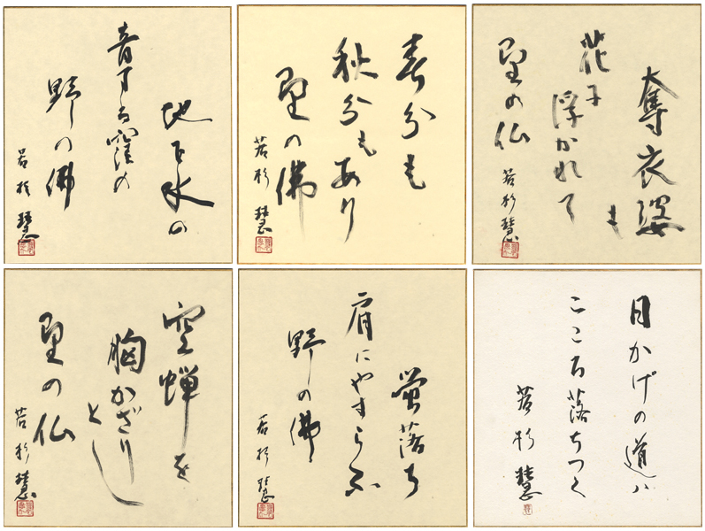 “若杉慧 自筆色紙”