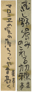  / Tanzaku