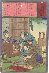 Yoshitoshi / Hochi Newspaper No.447 [郵便報知新聞　第447号]