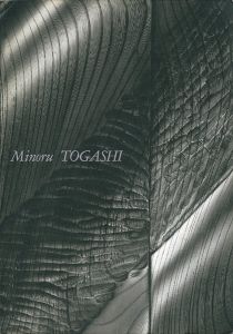 富樫実作品集1963-1987 空にかける階段