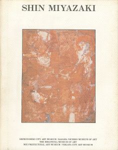 宮崎進展