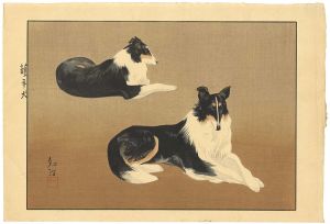 Mikami Tomoharu / 護羊犬