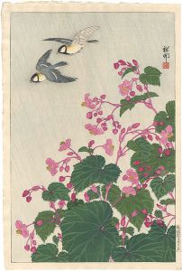 四十雀と秋海棠