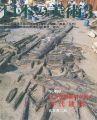 日本の美術４９０ 出土建築部材が解く古代建築
