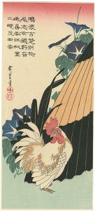 広重初代「朝顔に鶏【復刻版】」