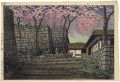 Cherry Blossoms at the Shiraka......