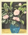 Otome Camellia