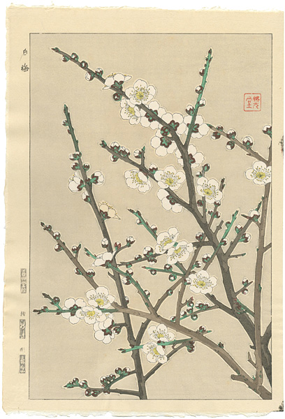 Kawarazaki Shodo “White Plum Blossoms”