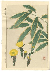 Kawarazaki Shodo / Amur Adonis