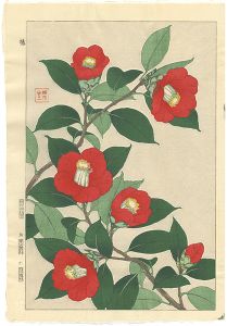 Kawarazaki Shodo / Camellia