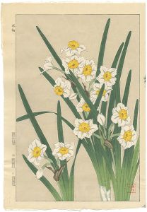 Kawarazaki Shodo / Narcissus