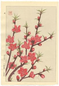 Kawarazaki Shodo / Peach Blossom