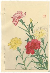 Kawarazaki Shodo / Carnation