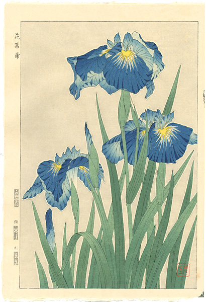 Kawarazaki Shodo “Iris”