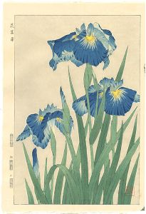 Kawarazaki Shodo / Iris