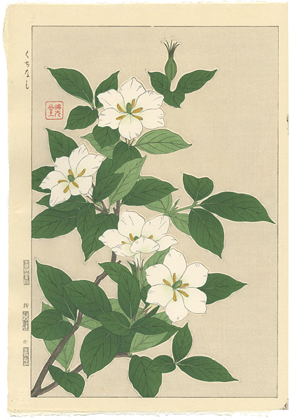 Kawarazaki Shodo “Cape Jasmine”