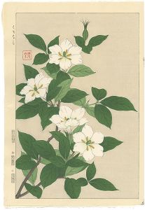 Kawarazaki Shodo / Cape Jasmine