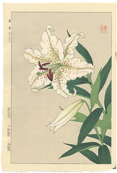 Kawarazaki Shodo “Lily”