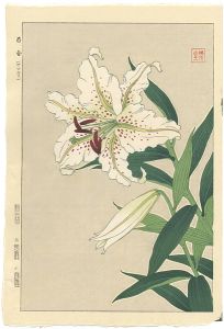 Kawarazaki Shodo / Lily