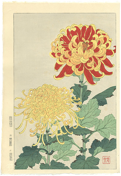 Kawarazaki Shodo “Chrysanthemum”