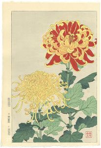 Kawarazaki Shodo / Chrysanthemum