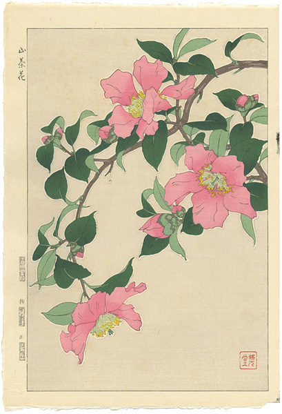 Kawarazaki Shodo “Sasanqua”