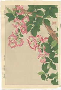 Kawarazaki Shodo / Crape Myrtle