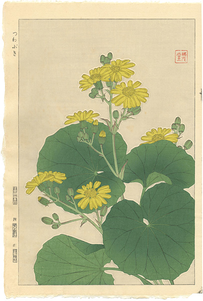 Kawarazaki Shodo “Japanese Silverleaf ”