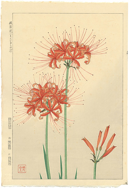 Kawarazaki Shodo “Red Spider Lily”