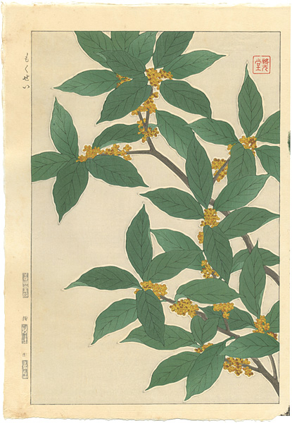 Kawarazaki Shodo “Sweet Osmanthus”