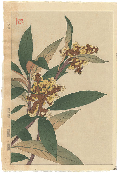 Kawarazaki Shodo “Loquat”