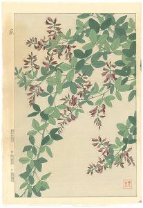 Kawarazaki Shodo / Lespedeza