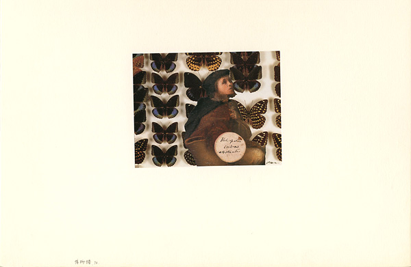 Kitagawa Kenji “Natural History Picture Book”