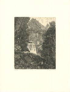 Ebisu Shuji / Sound of The Waterfall