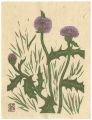 Thistle