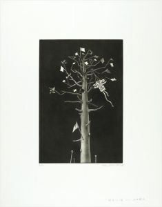 Hirota Masahisa / 枯木の唄