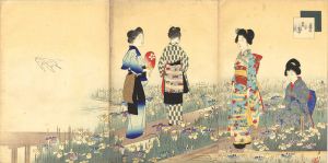 美人十二ヶ月　其六　菖蒲