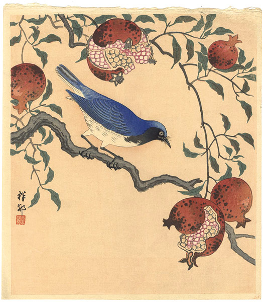 小原古邨（祥邨）「作品　（鶲と柘榴）」