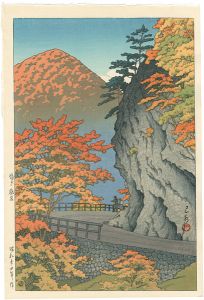 塩原猿岩