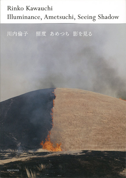 「写真集 照度 あめつち 影を見る」川内倫子