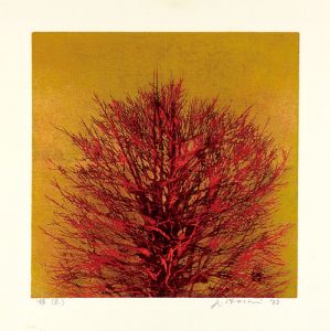 Hoshi Joichi / Treetop （Red）