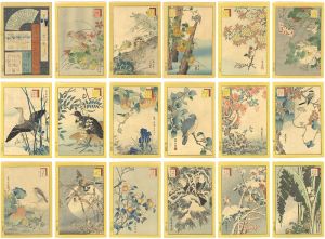 Sugakudo / Pictures of 48 Birds [生写四十八鷹]