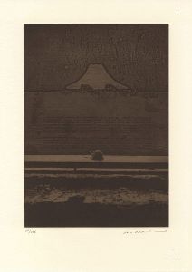 Ikeda Ryoji / 36 Views of Mt.Fuji / Listening to Mt.Fuji