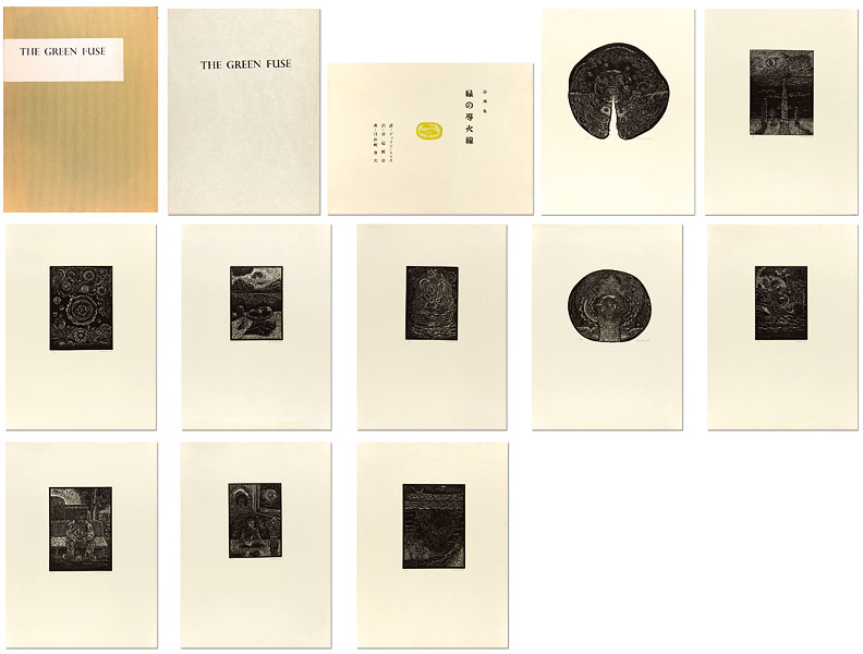 Hiwasaki Takao  “詩画集 緑の導火線（THE GREEN FUSE）”