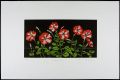 Petunia No.6