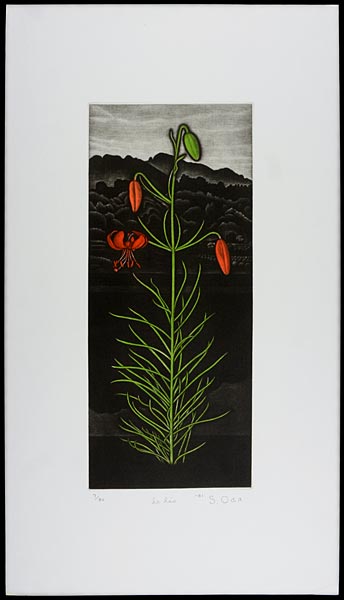 Oda Shigeru “Lily No.6”