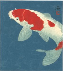 Matsuura Mitsuru / Coloured Carp