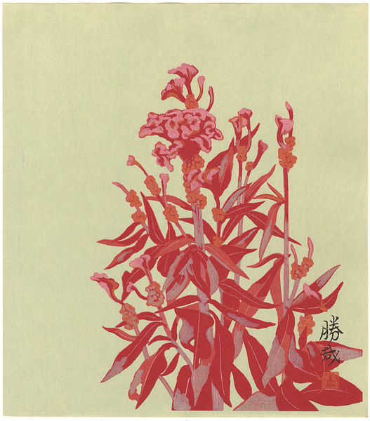 Nasu Katsuya “Cockscomb”
