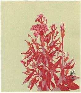 Nasu Katsuya / Cockscomb